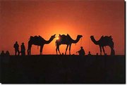  Customized tour package for Rajasthan India