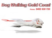Dog Walking Gold Coast