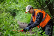 Land Clearing Services