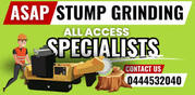  Expert Tree and Stump Removal Services on the Gold Coast